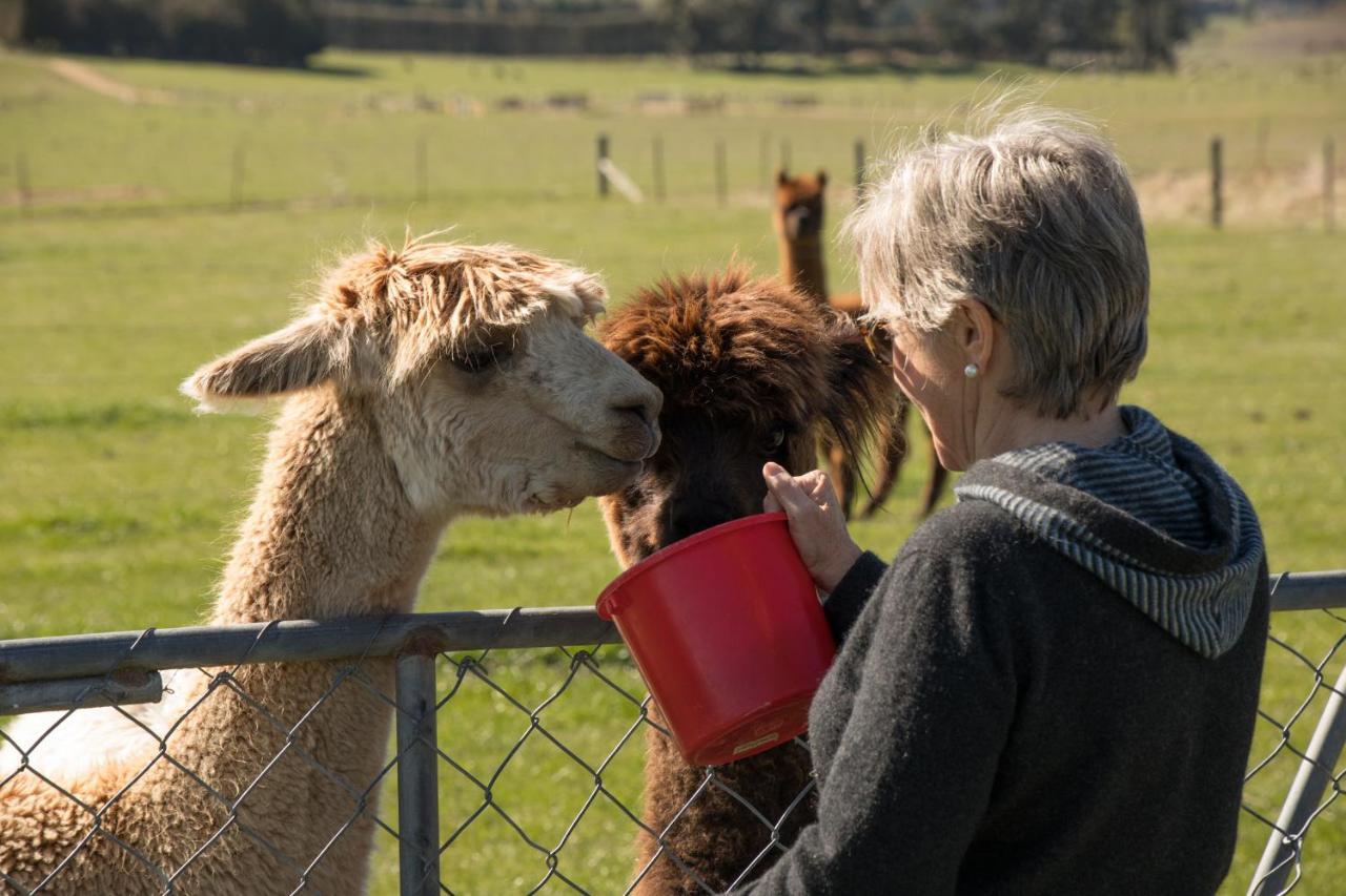 Shearvue Farmstay With Optional Free Farm Experience At 5Pm Фэрли Экстерьер фото