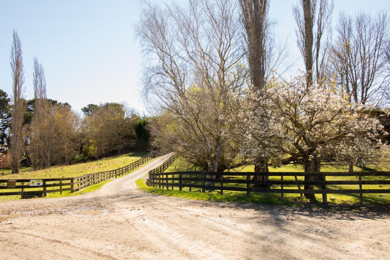 Shearvue Farmstay With Optional Free Farm Experience At 5Pm Фэрли Экстерьер фото